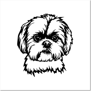 Shih Tzu Lover Shitzu Dog Posters and Art